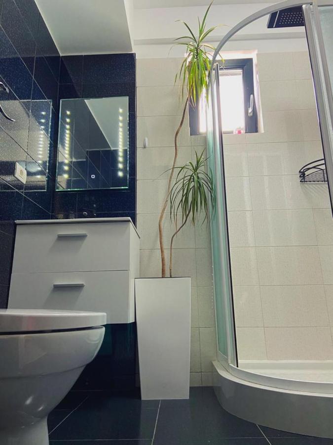 Peacock Apartament- Stefan Building Appartement Năvodari Buitenkant foto